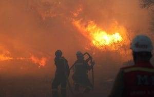 Tarım ve Orman Bakanı İbrahim Yumaklı, Muğla/Köyceğiz ve Antalya/Alanya’daki orman