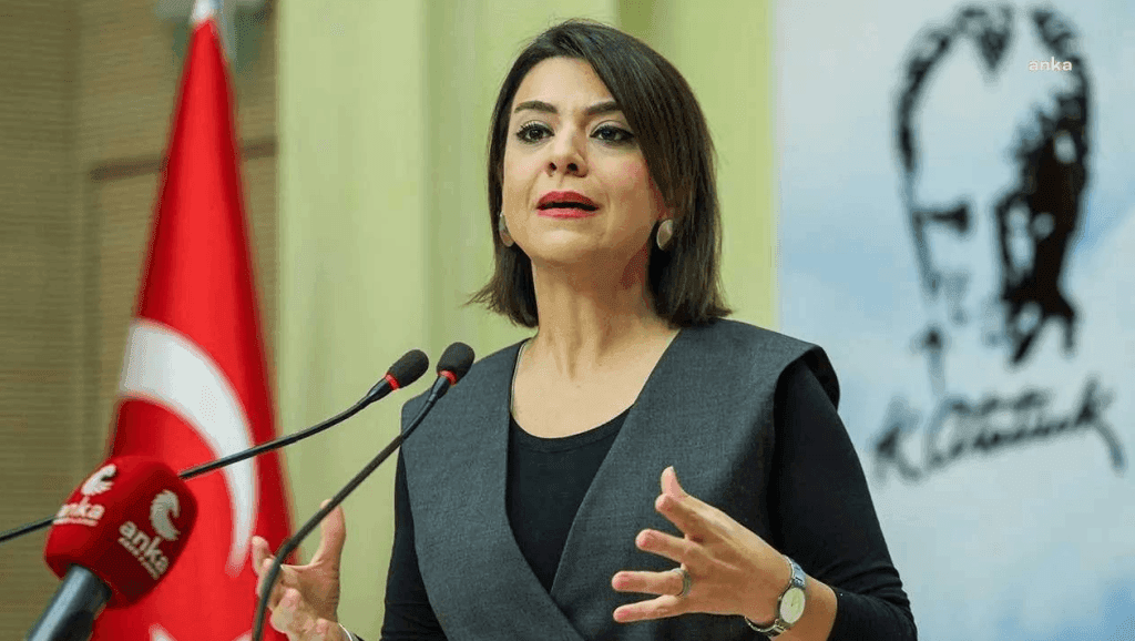 gamze taşçıer chp genel başkan yardımcısı
