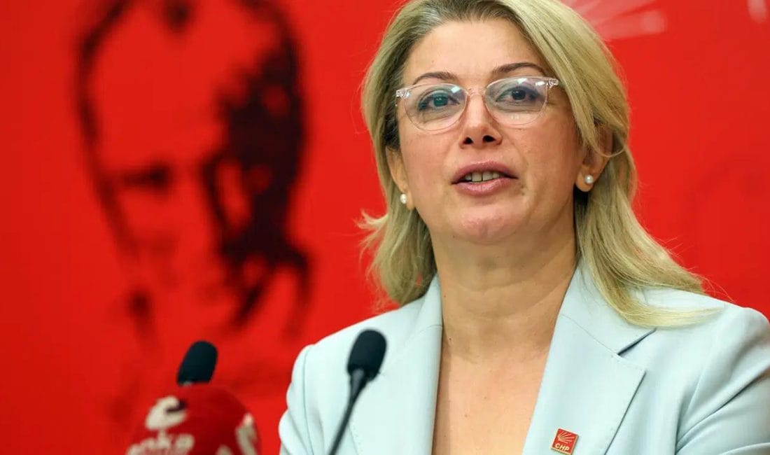 CHP Kadın Kolları Genel Başkanı ve Osmaniye Milletvekili Asu Kaya,