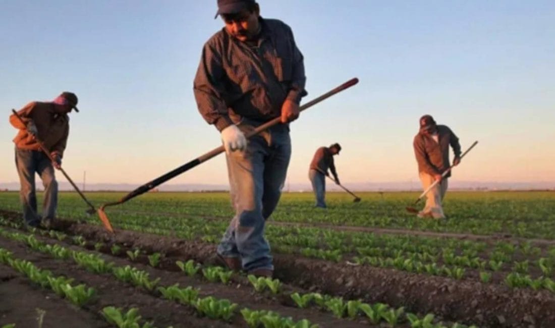CHP Tokat Milletvekili Kadim Durmaz, hükümetin tarımsal kredi politikalarında yaptığı