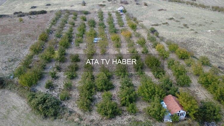 Emeklilikte Üretimle Yaşam Enerjisi