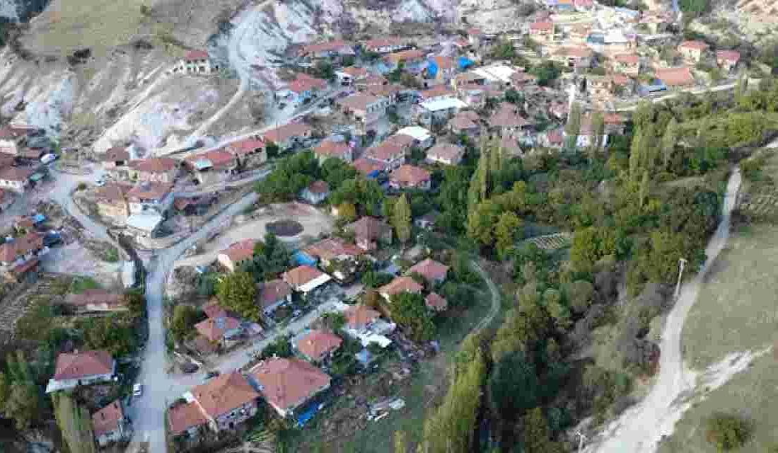 Demirci’de Emekli Memurun Ceviz Üretimi Başarısı Manisa’nın Demirci ilçesinde kiraz, badem ve kestane üretiminin yanında son