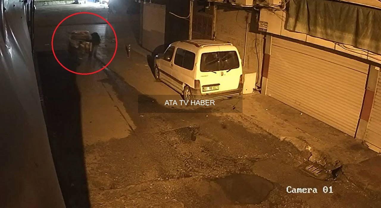 Gece yarısından sabaha kadar süren hırsızlık ve güvenlik kamerası görüntüleri