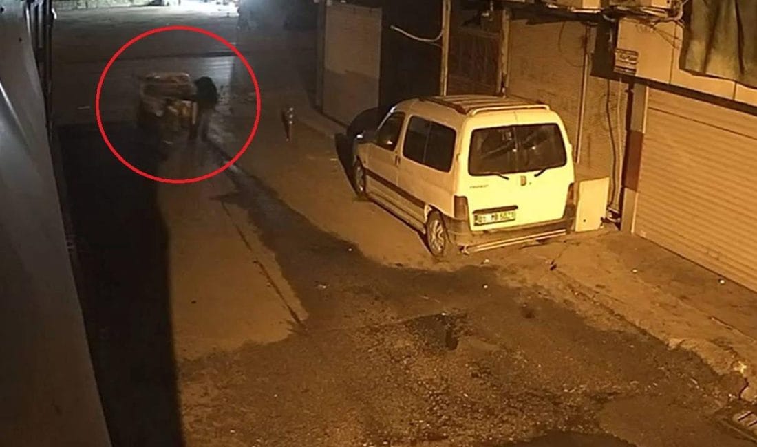 Yunus Emre Tokay ile eşi Emine Tokay, 13 yıldır evli