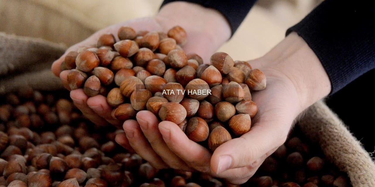 Ferrero’nun Fındık Tedarikinde Kriz