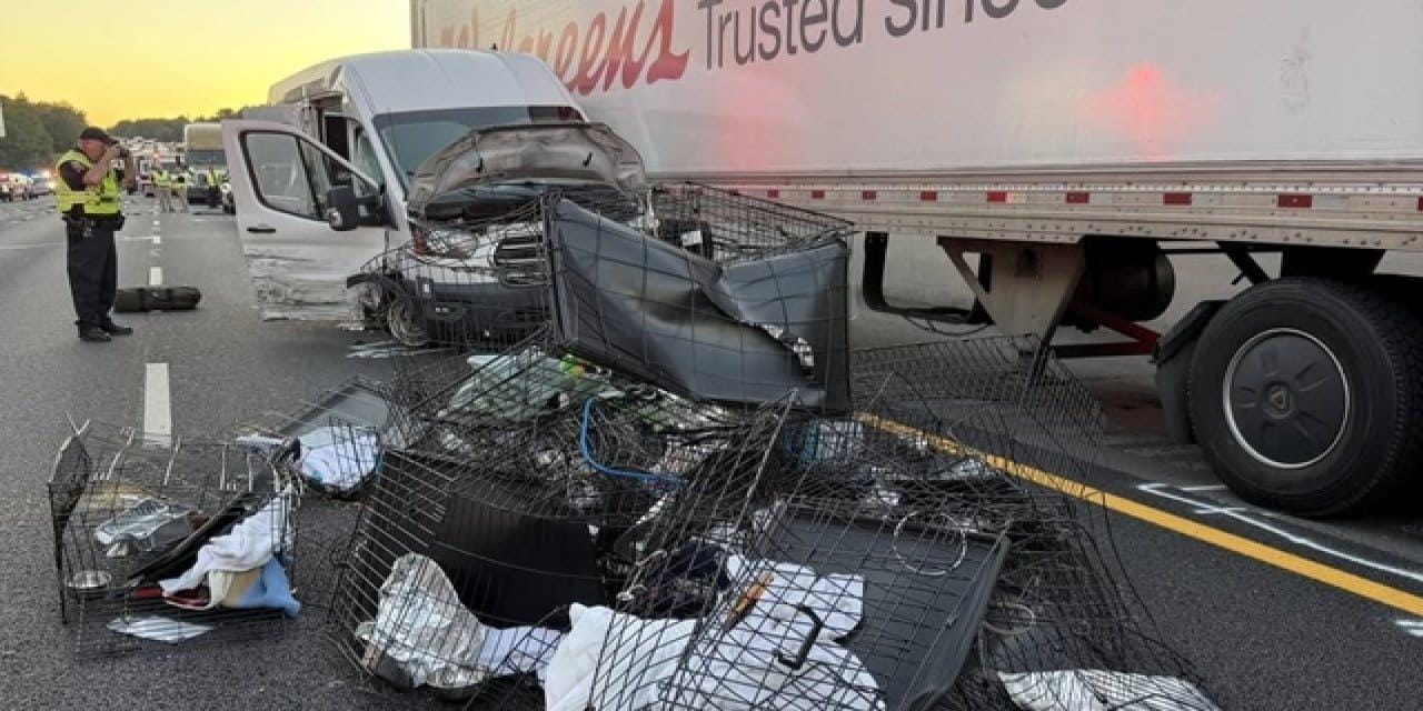 ABD’nin Georgia eyaletinde Interstate 85 otoyolunda yaşanan trajik bir trafik