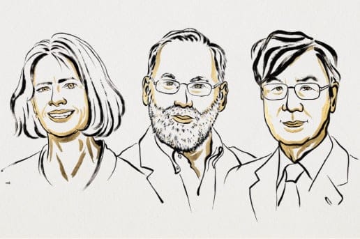 Bir Nobel Kazananının İzinde