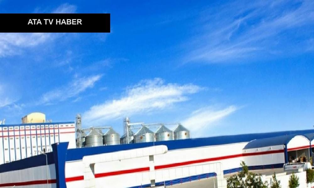 Oba Makarnacılık Hendek Fabrikasını Nissin Foods’a Devretti Oba Makarnacılık Sanayi