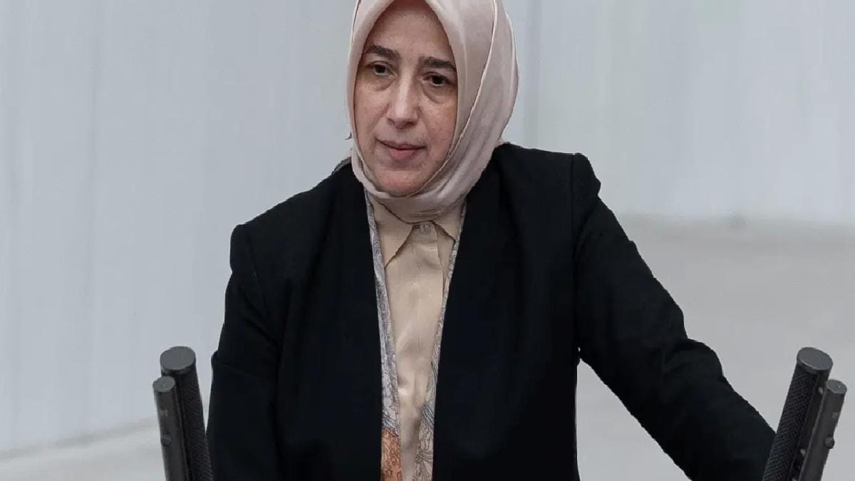 AK Parti Grup Başkanvekili Özlem Zengin, Türkiye Büyük Millet Meclisi