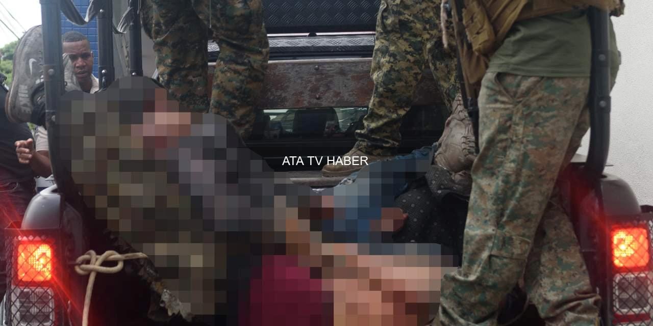 Hükümet ve insan hakları kuruluşlarının değerlendirmeleri