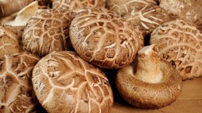 Bu yenilikçi sistem, bilgi depolamak için memristor adı verilen devre