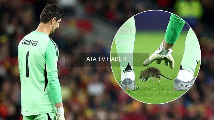 Thibaut Courtois Sahada Fareyle Karşılaştı
