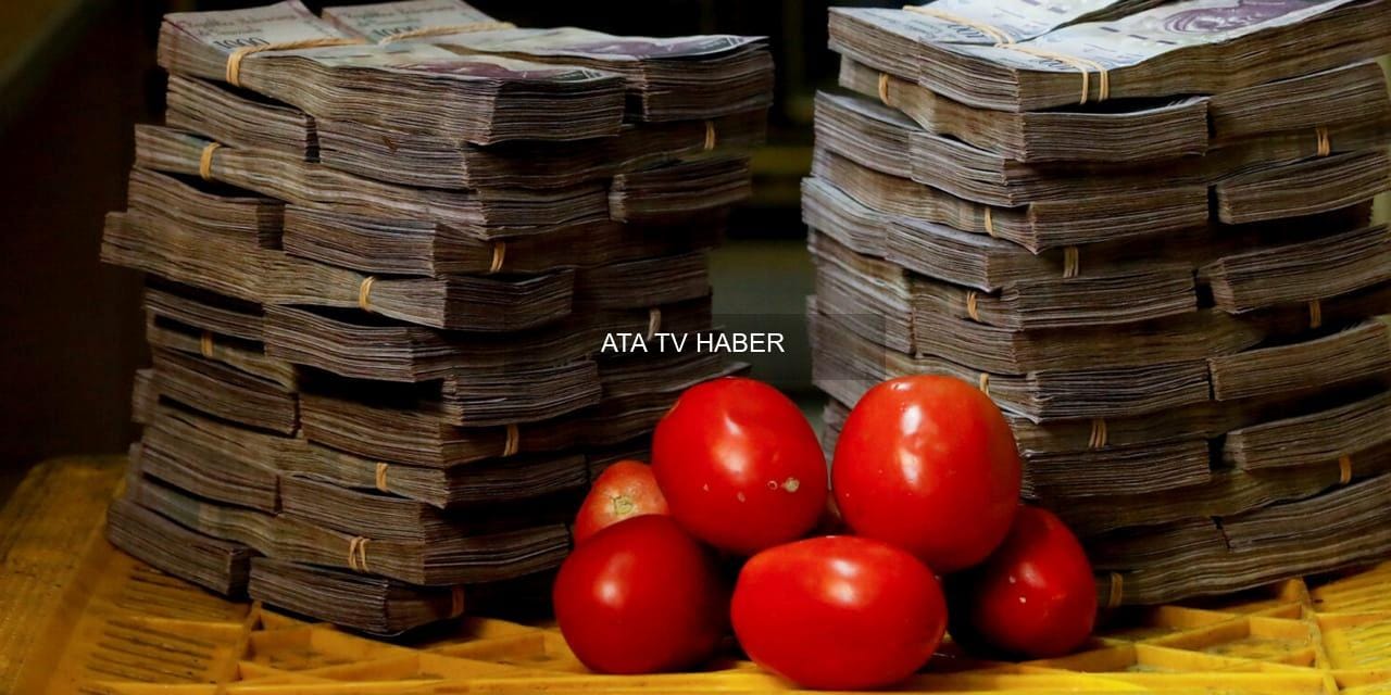 Timothy Ash'ten Türkiye Ekonomisine Dair Uyarılar