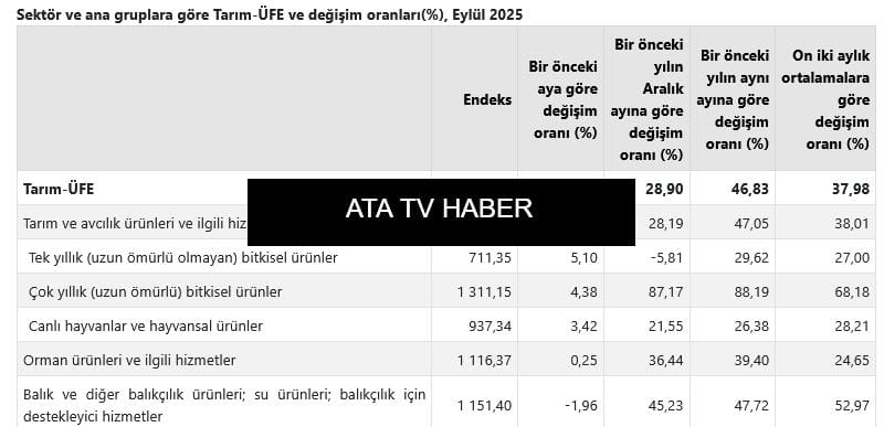 TÜİK Eylül 2025 Tarım ÜFE Verilerini Açıkladı
