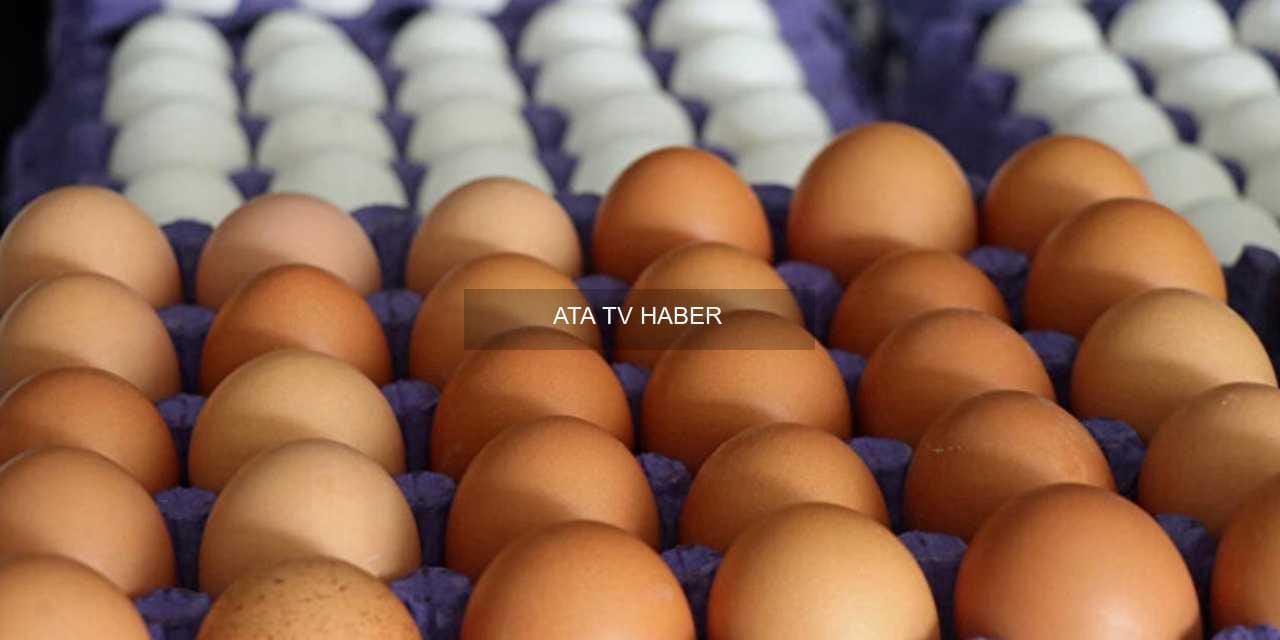 TÜİK Verilerinde Eylül Enflasyonu ve Yumurta Fiyatları