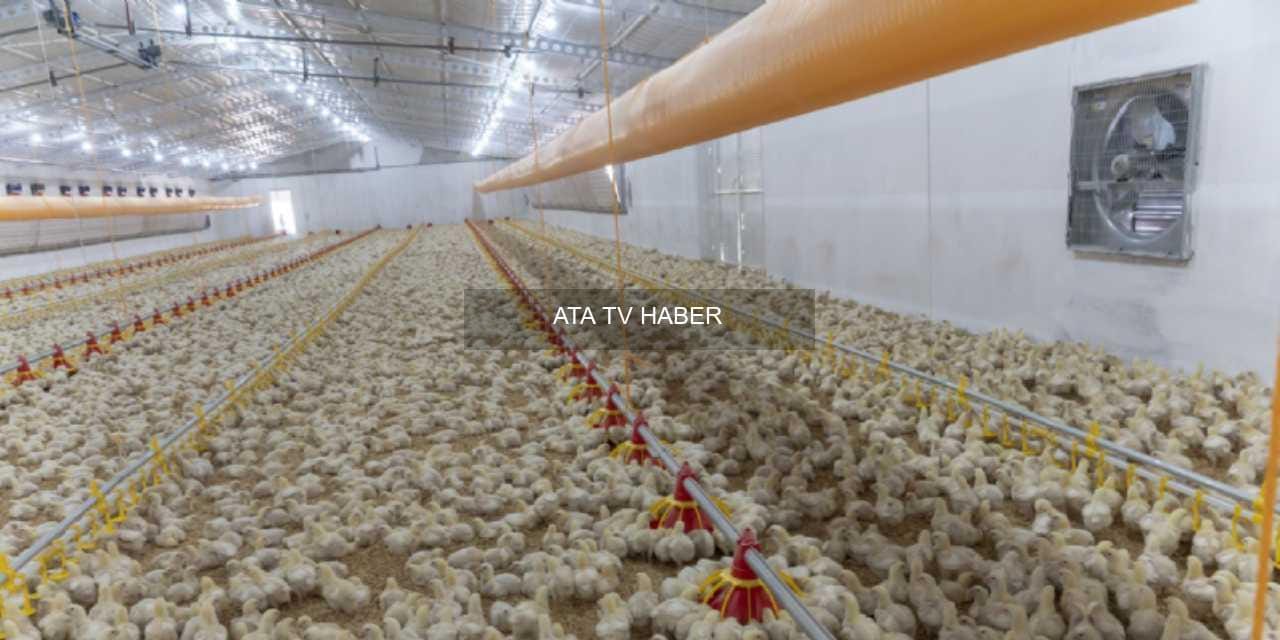 Üreticiler Mevsimsel Etkenleri İşaret Etti