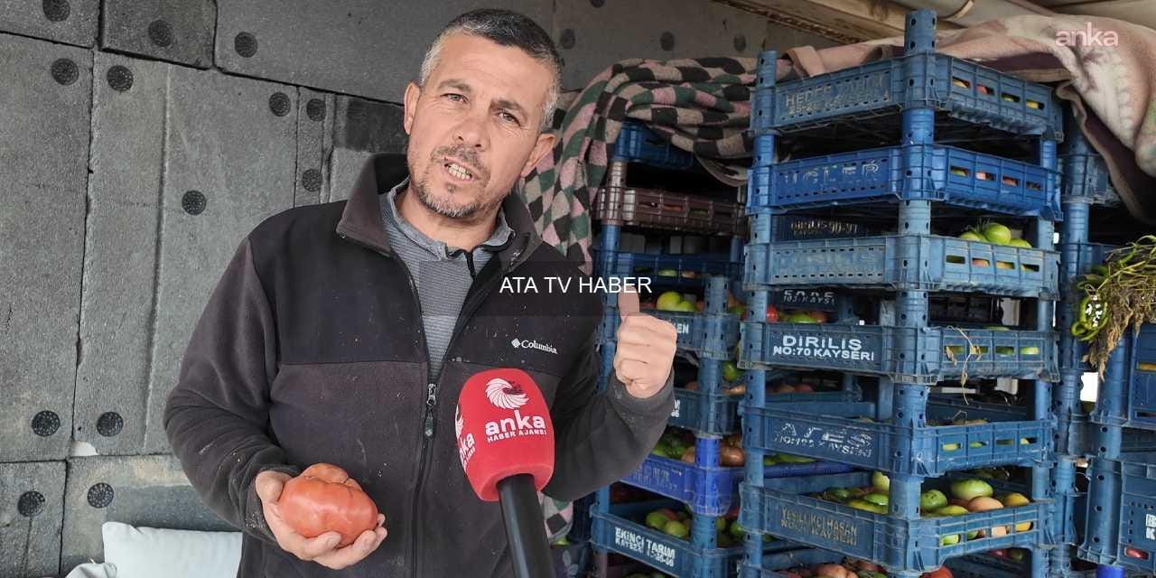Tohumun maliyeti ve uzun vadedeki riskler