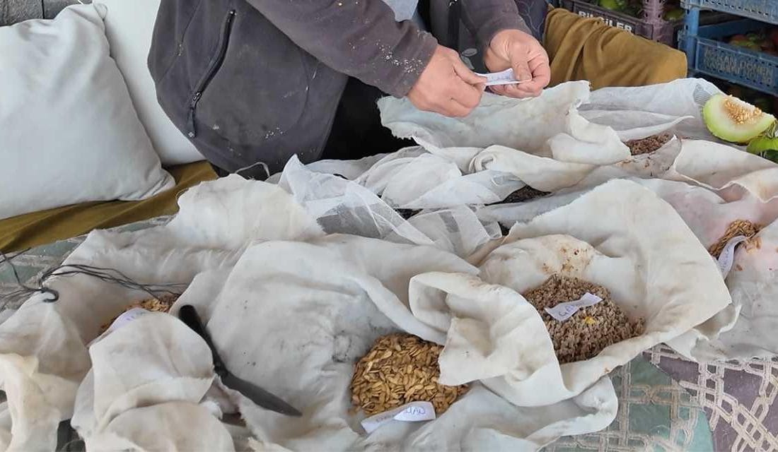 Yozgatlı ziraat mühendisi Ata tohumlarını çoğaltıyor, 10 ilde ücretsiz dağıtacak