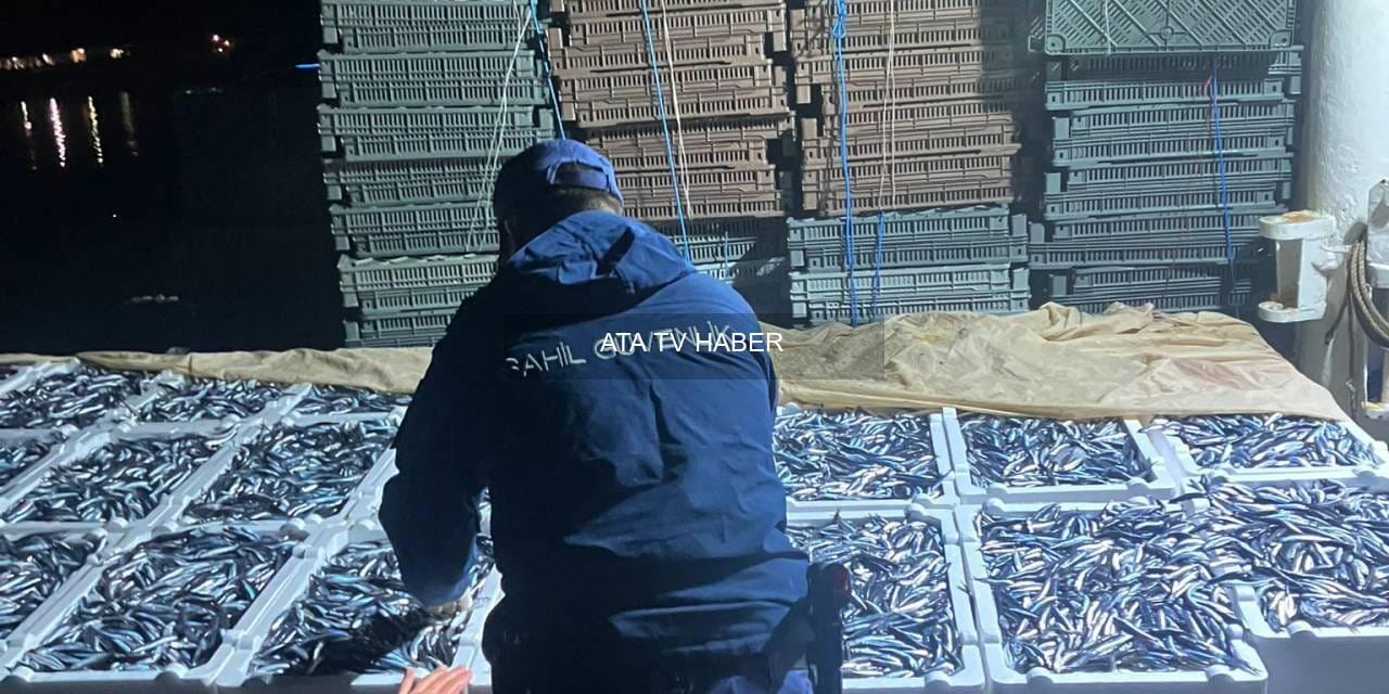 Karadeniz'de hamsi bolluğu sezonu erken ve bereketli başladı