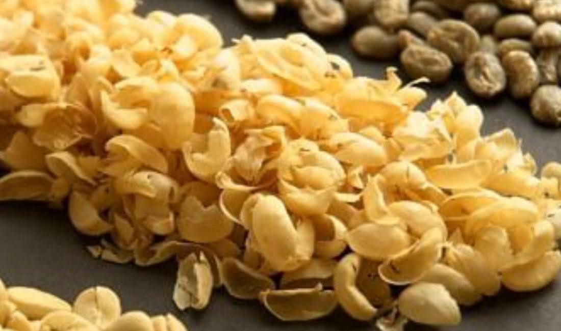 Günde 3–4 Fincan Kahve Telomerleri Uzatıyor — Norveç Çalışmasından Yeni