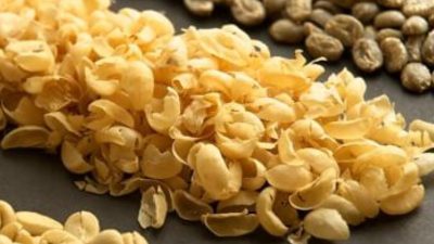 5 yıl boyunca yaşlandırmıyor: Günde 4 fincan içmeniz yeterli Günde 3–4 Fincan Kahve Telomerleri Uzatıyor — Norveç Çalışmasından Yeni