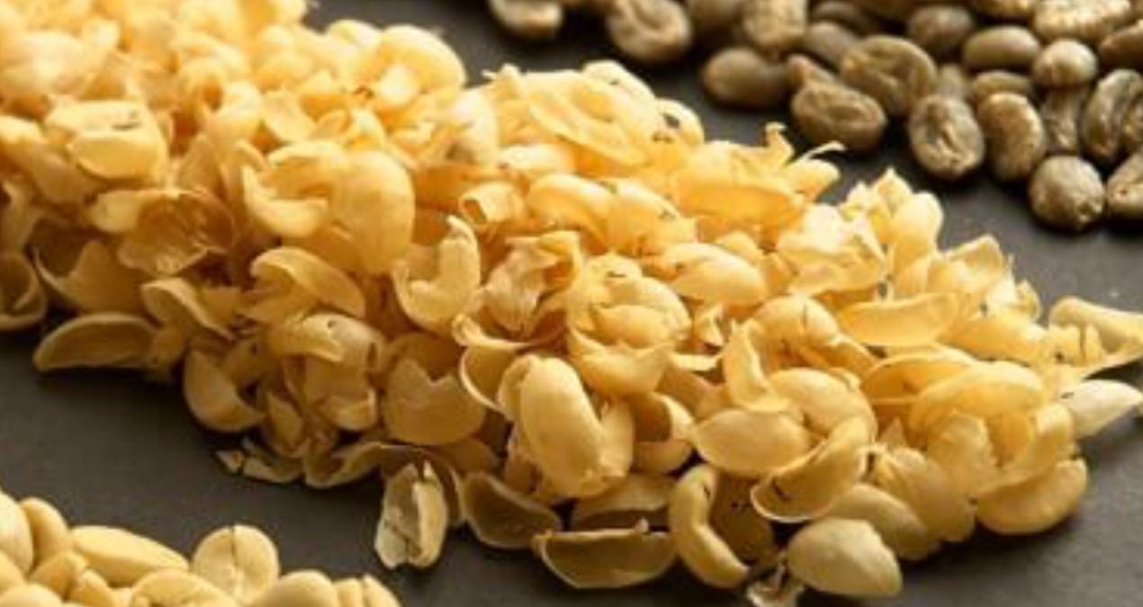 Günde 3–4 Fincan Kahve Telomerleri Uzatıyor — Norveç Çalışmasından Yeni