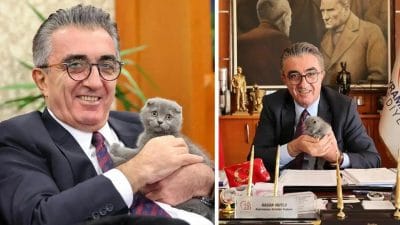 Bayrampaşa Belediyesi’ndeki son operasyon sonrası CHP’li başkan Hasan Mutlu tutuklandı