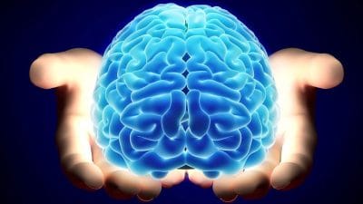 Beyin Sağlığınızı Kendiniz Test Edin: 7 Basit Günlük Sinyal Yaş