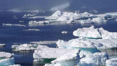 Dünya çapında yükselen hava ve deniz sıcaklıkları, büyük tatlı su