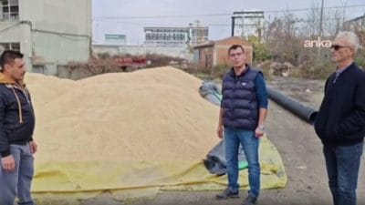 Edirne’de Çeltik Üreticileri TMO Fiyat Bekleyişinde: CHP’den Tepki CHP Edirne