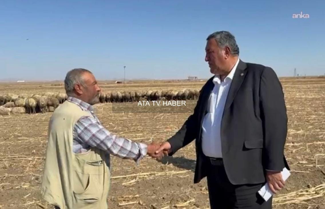 CHP Niğde Milletvekili Ömer Fethi Gürer: Türkiye hayvancılığı derin bir krizle karşı karşıya