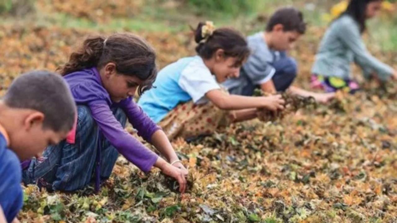 CHP’den 20 Kasım Dünya Çocuk Hakları Günü Açıklaması CHP Diyarbakır