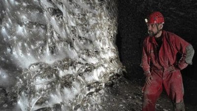 Kükürt Mağarası’nda Bulunan Dev Örümcek Ağı ve Ortak Yaşam Arnavutluk-Yunanistan