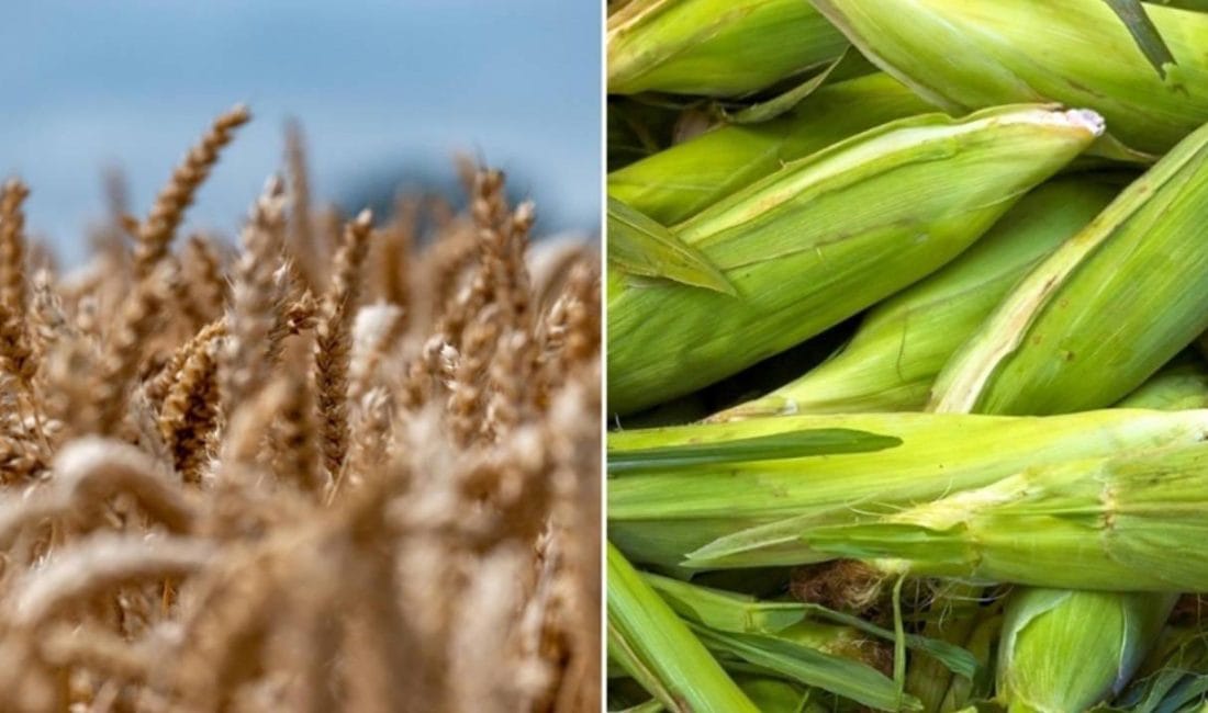 CHP’den Cumhurbaşkanı Kararına Sert Tepki: 2 Milyon Tonlık İthalat Kararı