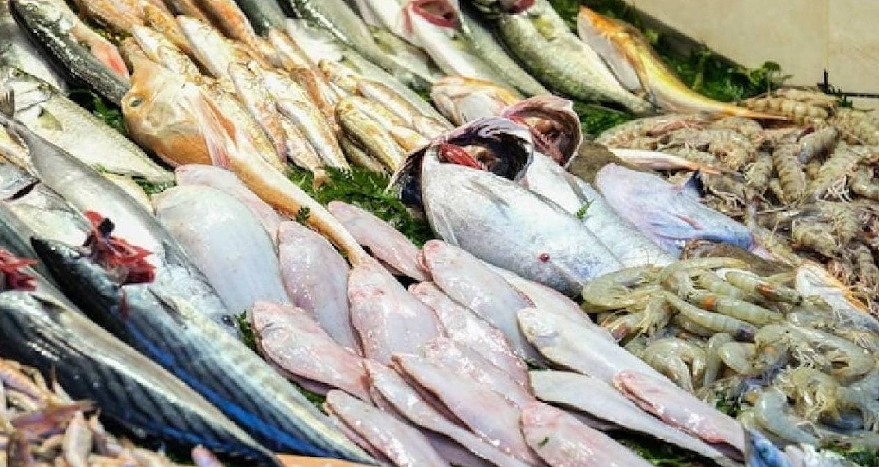 Kış Aylarında Sardalya ve Uskumru Önerisi Sardalya, düşük civa oranı