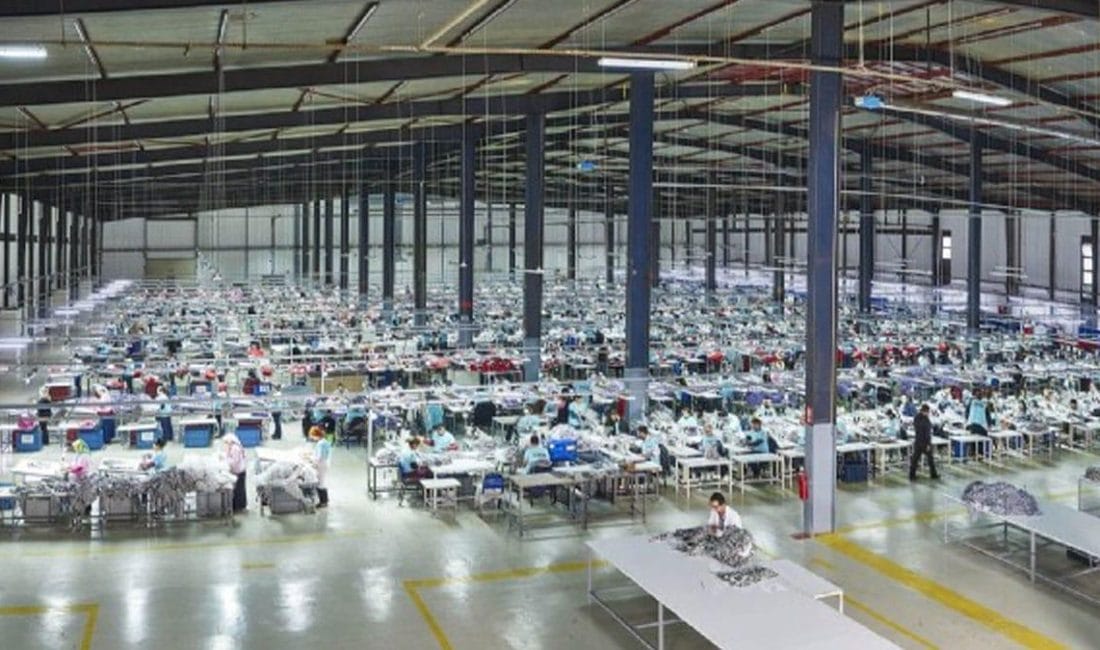 TEPAV Ağustos 2025 İstihdam İzleme Bülteni: Sektörel Eğilimler ve İller