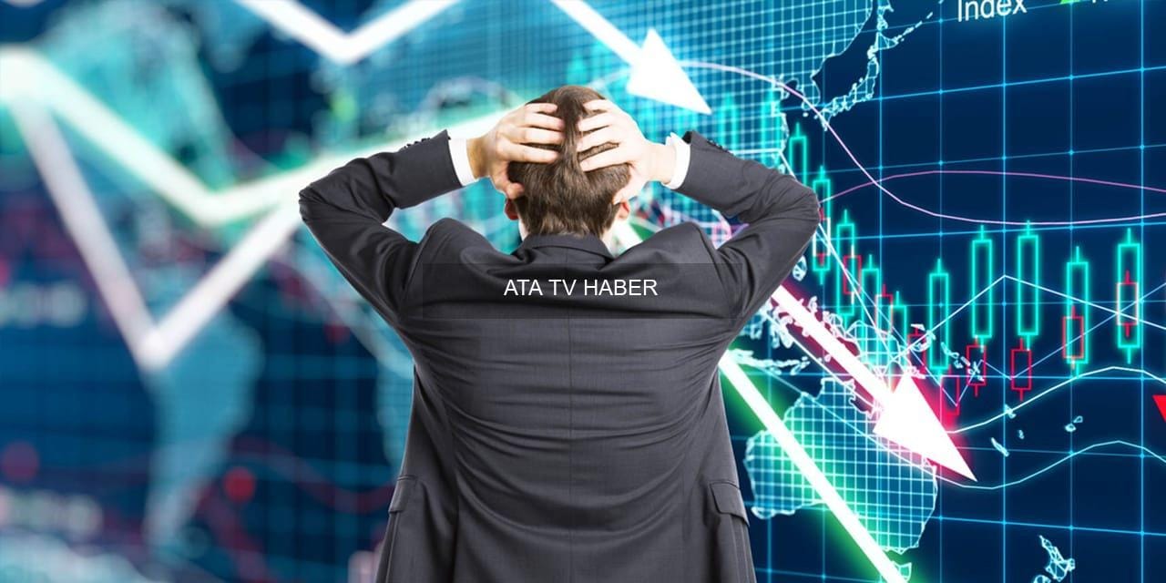 Ceza Dağılımı ve İşlem Detayları