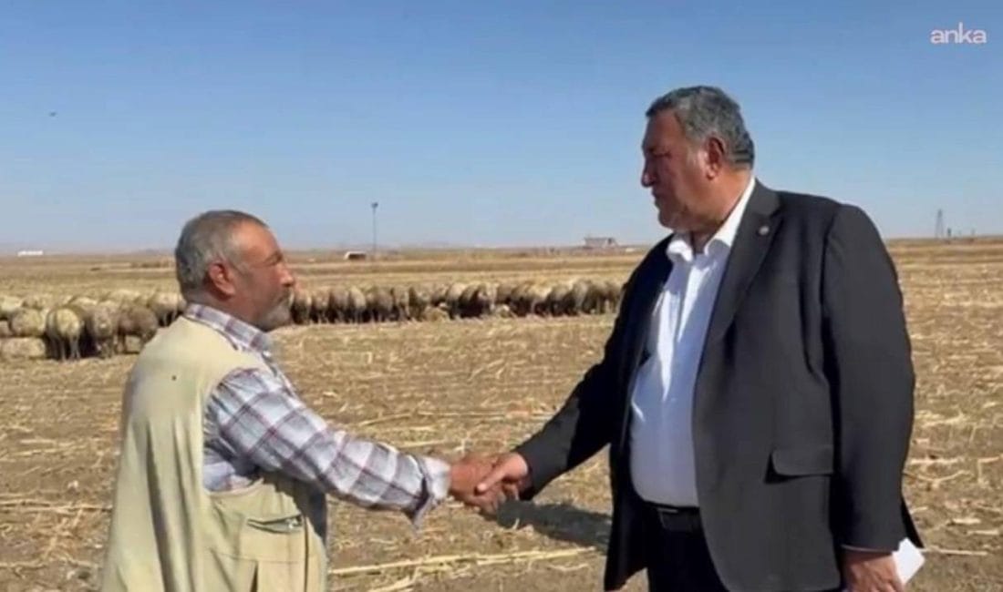 CHP’li Gürer: Hayvancılık Krizi Derinleşiyor — İthalat ve Yetersiz Destek
