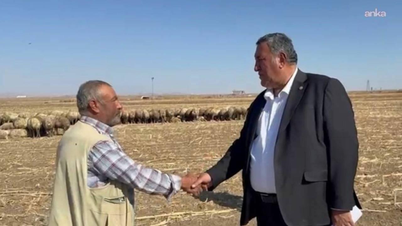CHP’li Gürer: Hayvancılık Krizi Derinleşiyor — İthalat ve Yetersiz Destek
