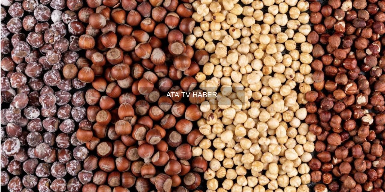 Rekabet Kurumu Başkanı Küle: Ferrero’nun Türkiye Taahhütleri ve Fındık Piyasasına İlişkin Açıklama