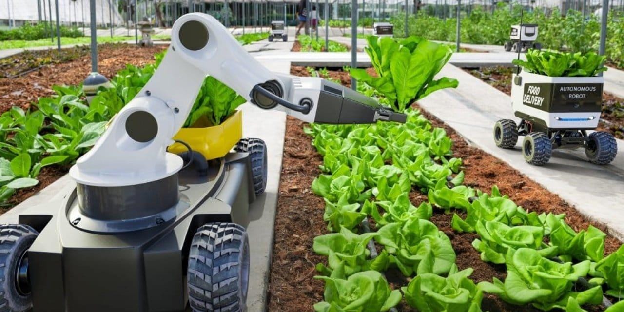 tarlada-traktor-degil-robot-var-ciftci-uyurken-robot-hasat-yapacak-bJPTp7pb.jpg
