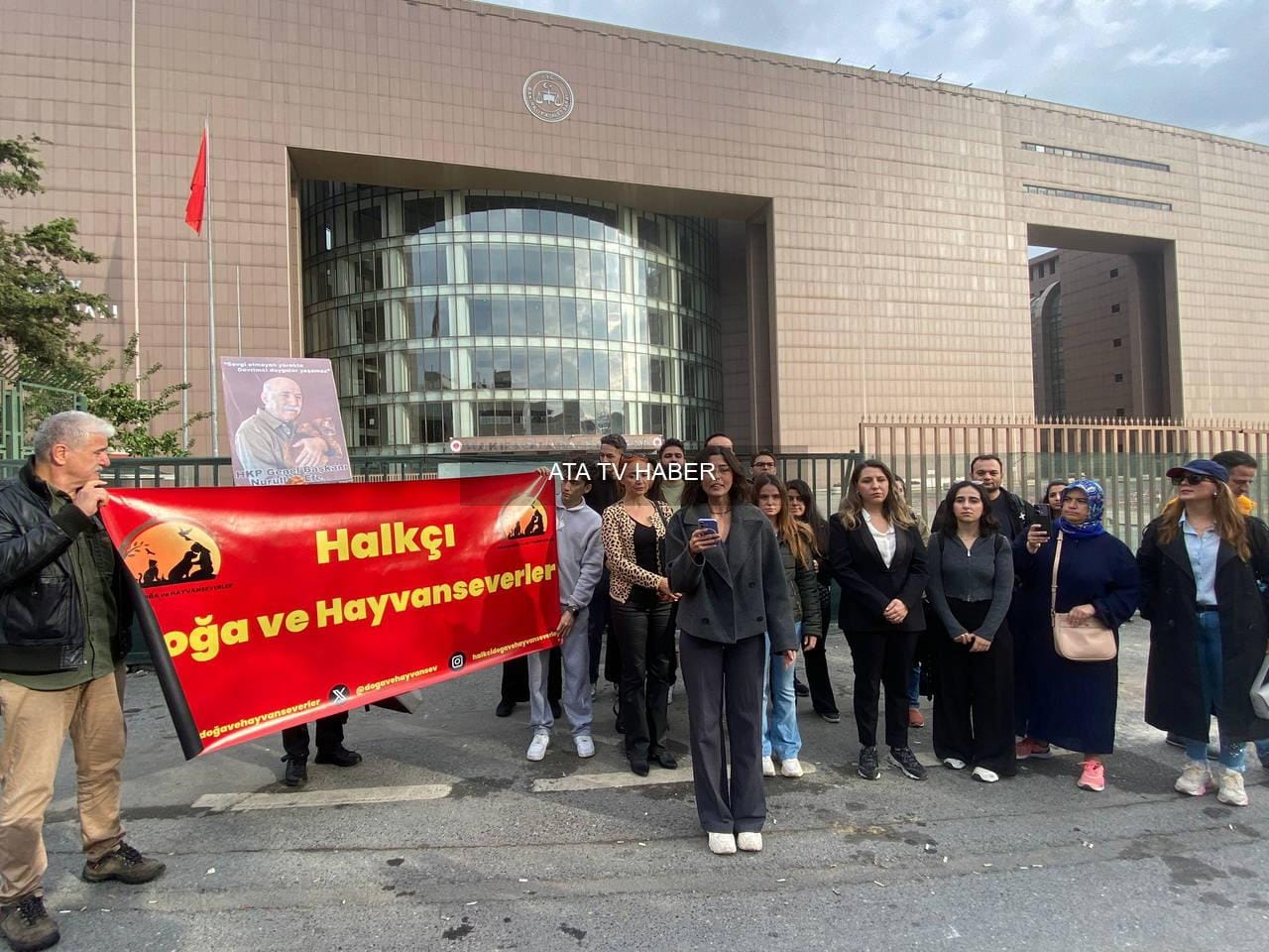 Bakırköy Adliyesi Kedileri İçin 'Kedi Evleri' Kararı