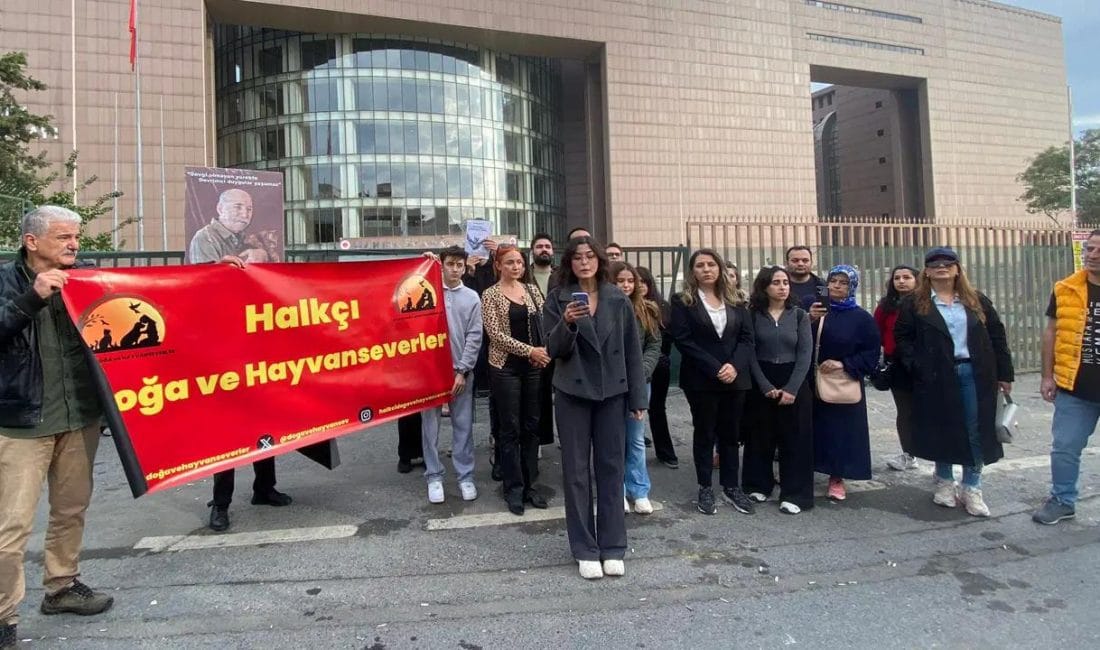 Bakırköy Adliyesi Kedileri İçin ‘Kedi Evleri’ Kararı Bakırköy Cumhuriyet Başsavcılığı’na