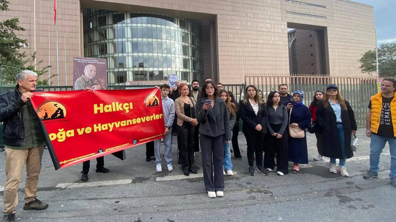 Bakırköy Adliyesi Kedileri İçin ‘Kedi Evleri’ Kararı Bakırköy Cumhuriyet Başsavcılığı’na