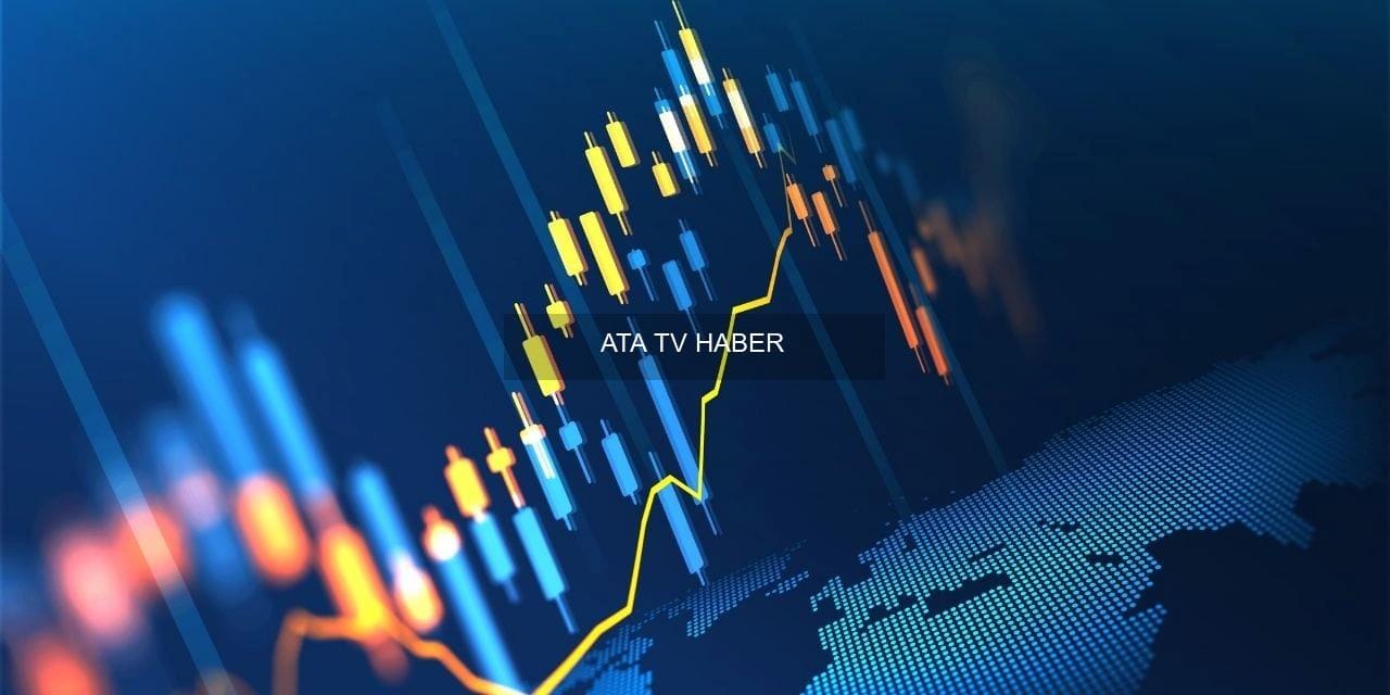 2026 Yılı KİT ve Tarım Alım Hedefleri: Yatırım, Özelleştirme ve Fon Projeksiyonları