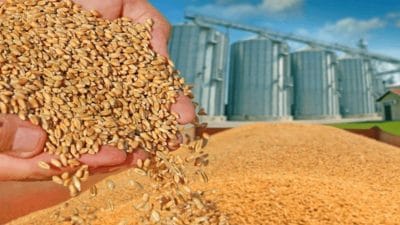 2026 Yılı KİT ve Tarım Alım Hedefleri: Yatırım, Özelleştirme ve