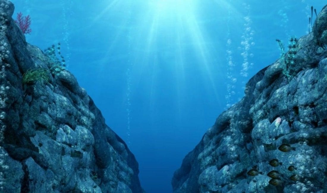 Vancouver Adası’nda Explorer Plakası Tehlikede Science Advances dergisinde yayımlanan araştırmaya göre, Vancouver Adası açıklarında yer