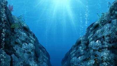 Science Advances dergisinde yayımlanan araştırmaya göre, Vancouver Adası açıklarında yer