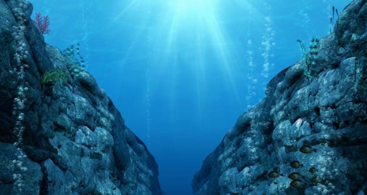 Science Advances dergisinde yayımlanan araştırmaya göre, Vancouver Adası açıklarında yer