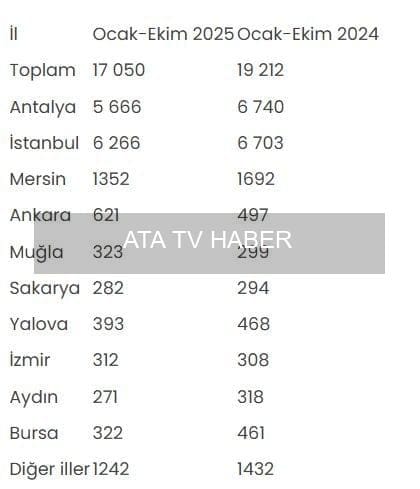 Ocak-Ekim 2024 Konut Satışları ve Yabancılara Satışlarda İl Bazlı Değişim